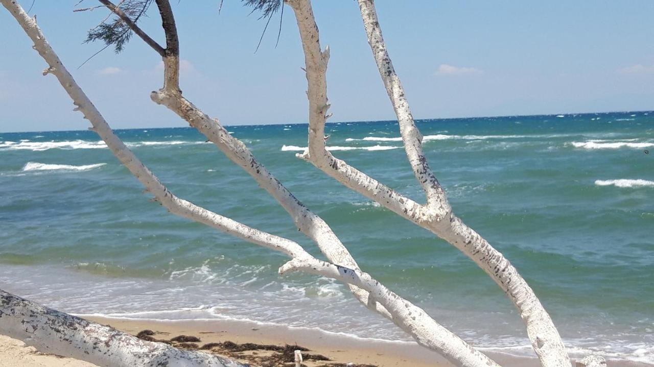 Perea White Suites Peraía المظهر الخارجي الصورة
